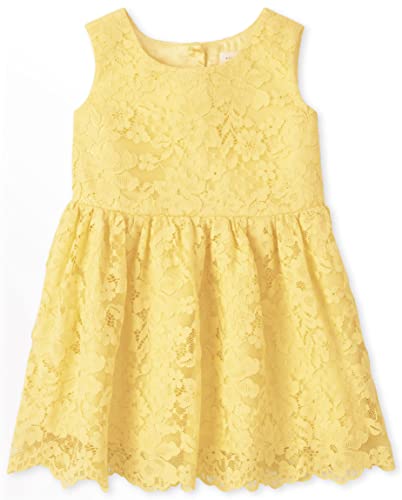 Baby Toddler Girls Lace Dress, Sun Valley, 2T