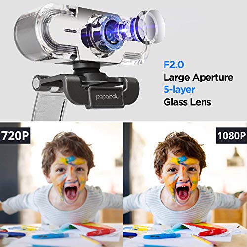 Webcam 1080P Full HD PC Skype Camera,  PA452 Web Cam with Microphone, Video Calling and Recording for Computer Laptop Desktop, Plug and Play USB Camera for YouTube, Compatible with Windows