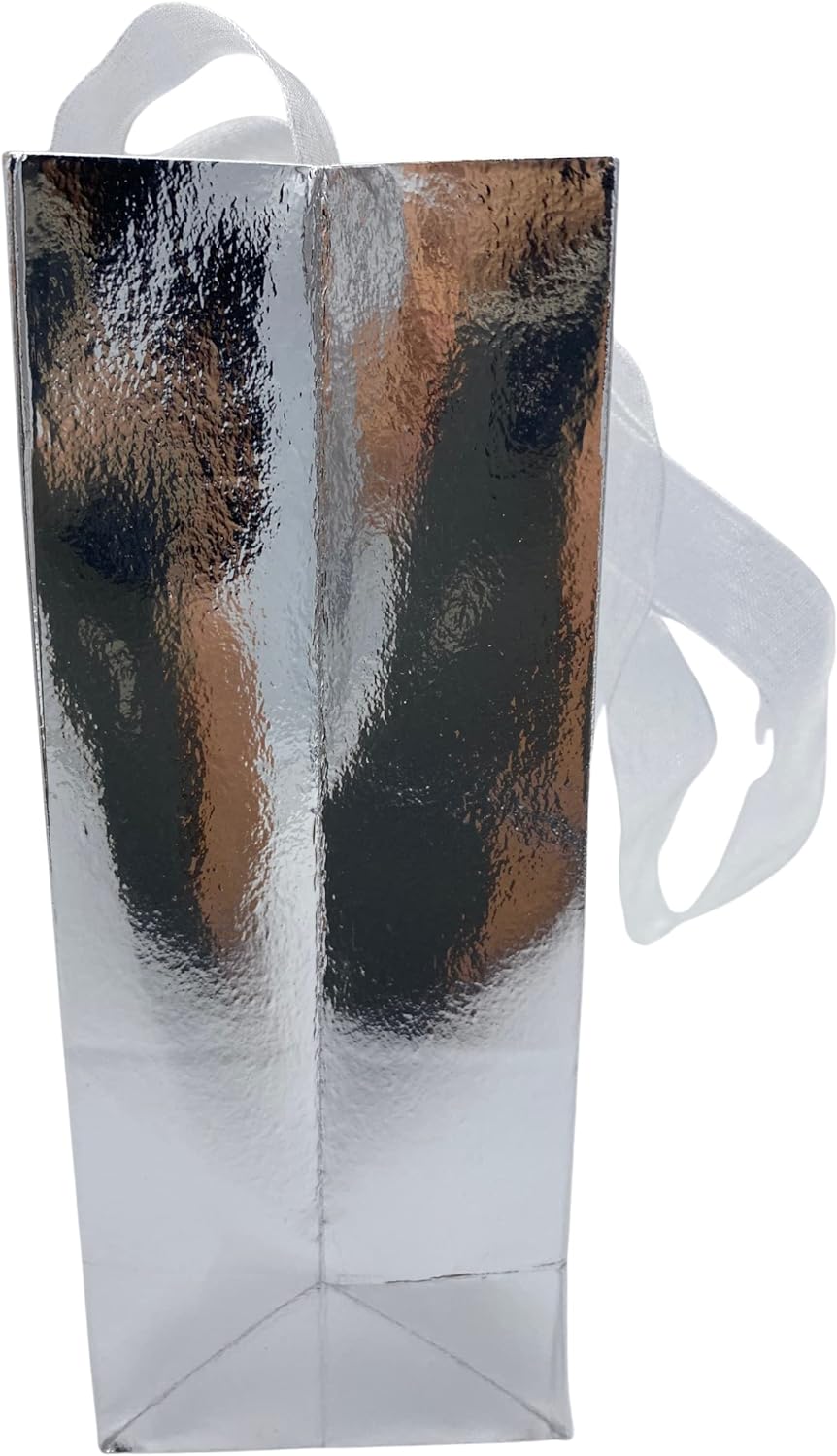 MODAIO-Gift Bags Small Size – Reusable Gift Bags With Handles From Three Different Stunning Colors - Perfect As Goodie Bags, Birthday Gift Bags, Party Favor Bags– 4"W x 3"D x 6"H Size-1/count (Silver)