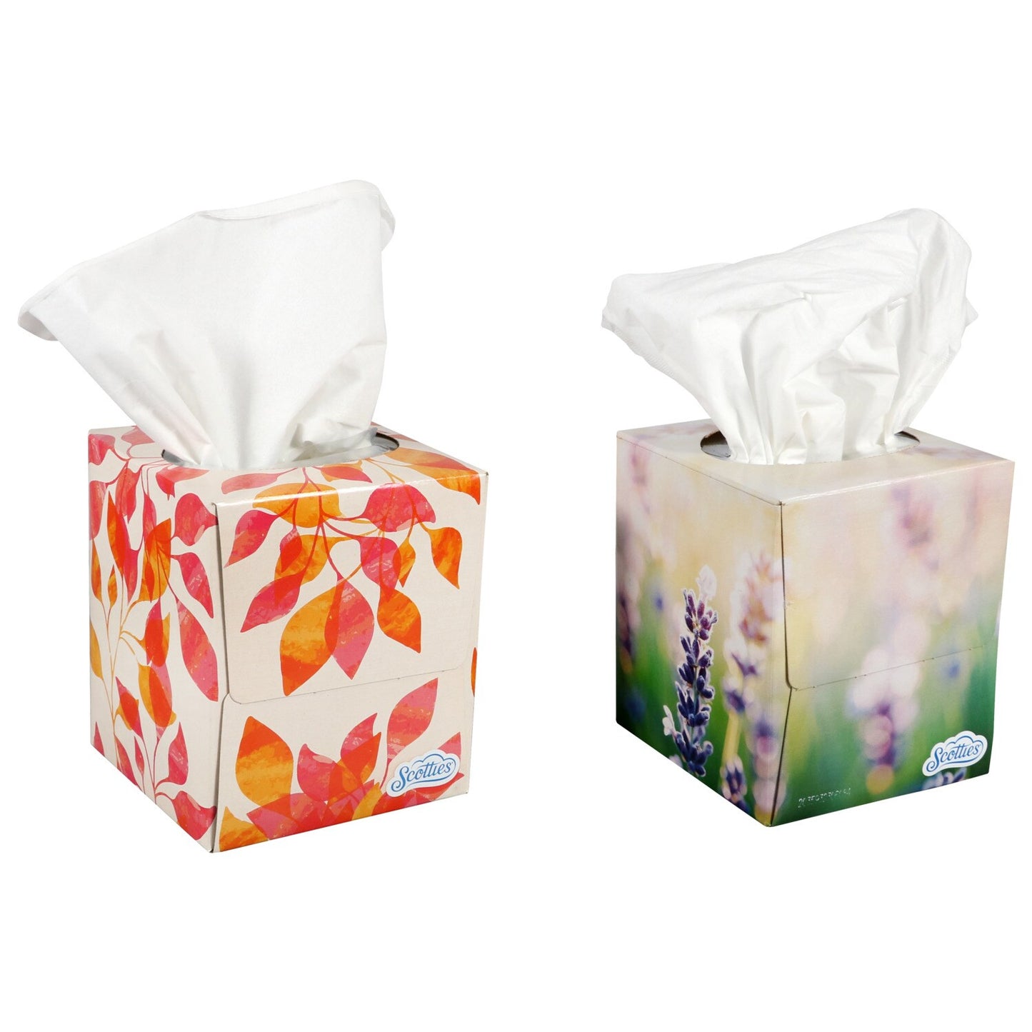 Scotties 3-Ply Facial Tissues with Aloe, 54-ct. Boxes (Pack of 36)