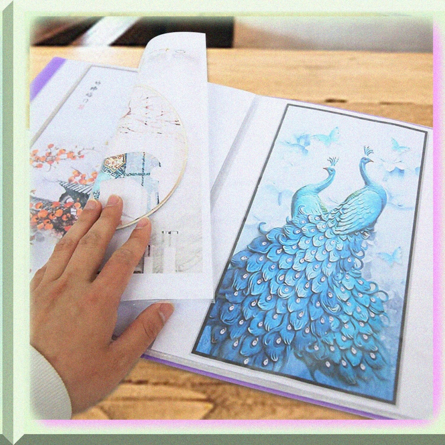 Diamond Storage Book A4 for 60 Pictures