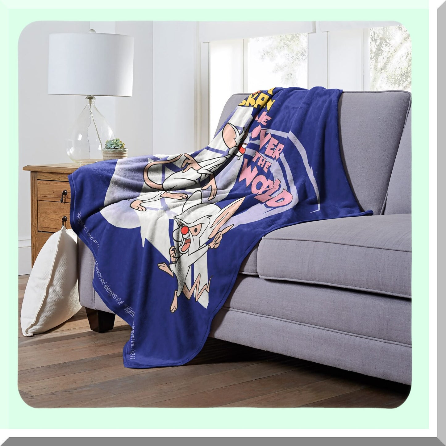 World Takeover Animaniacs Silk Touch Throw Blanket - Cozy 50x60