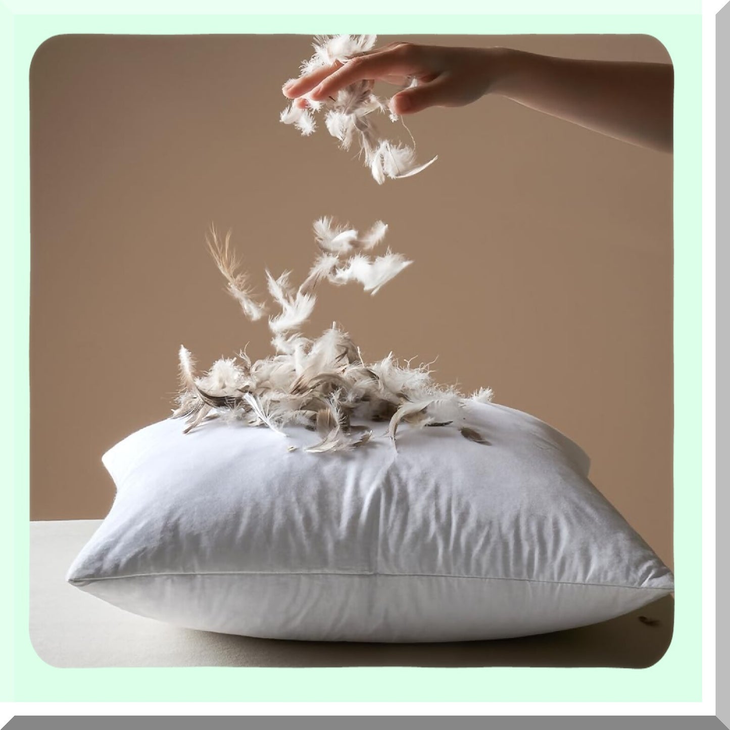 Fluffy Cotton Throw Pillow Inserts - 18x18 Pack of 2 for Living Room Sofa Bed - Decorative Down Pillows - Fluffy Cushion Inserts