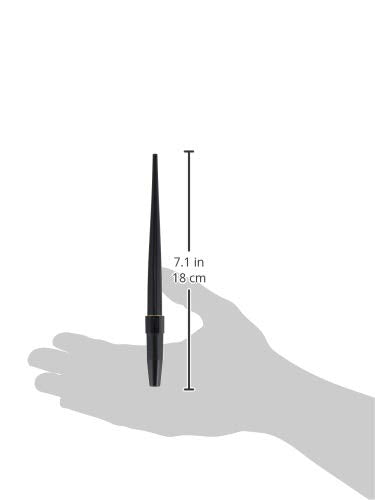 Black Fountain and Ballpoint Pen for Desk
