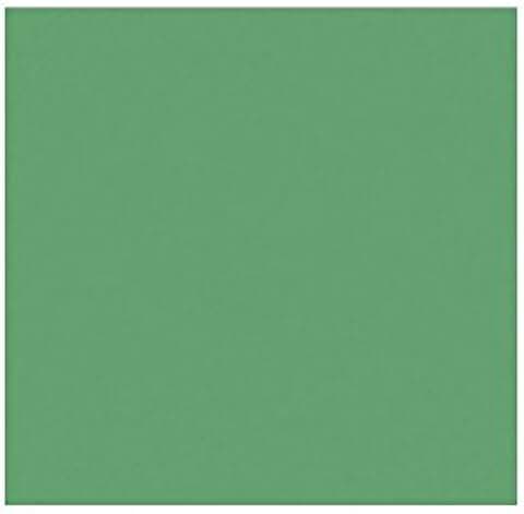 Holiday Green 12x12 Paper, 80lb, 50 Sheets