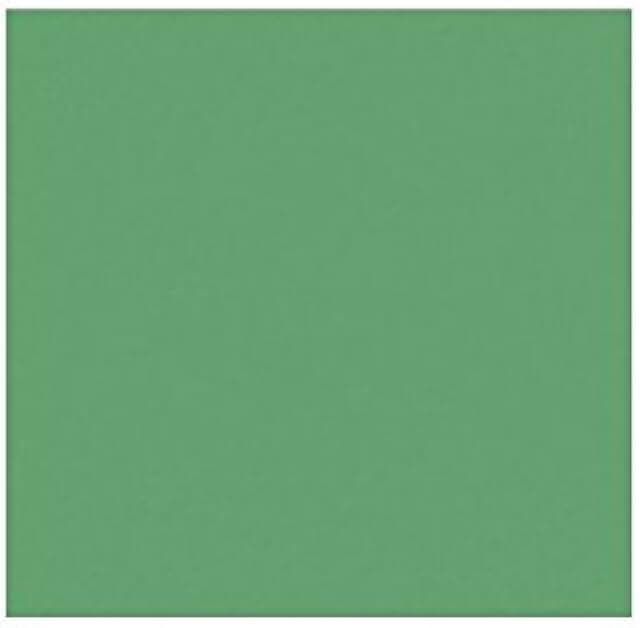 Holiday Green 12x12 Paper, 80lb, 50 Sheets