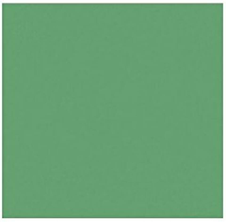 Holiday Green 12x12 Paper, 80lb, 50 Sheets