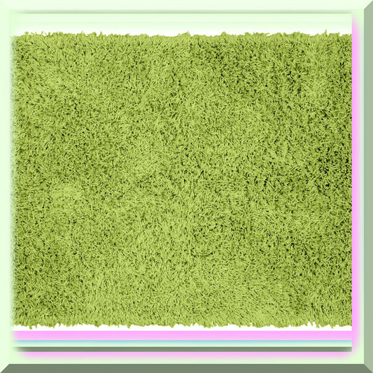 Shaggy Nylon Bath Rug 24x40 Lime Green