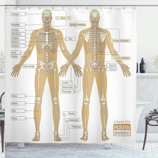 Human Anatomy Skeleton Shower Curtain 69x70 inches