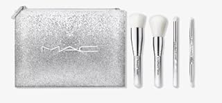 Essential Snow Brush Kit