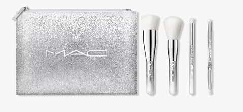 Essential Snow Brush Kit