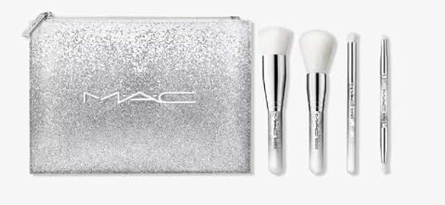 Essential Snow Brush Kit