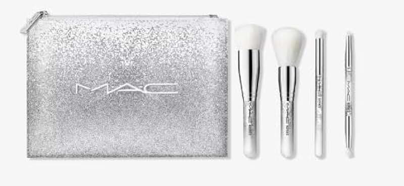 Essential Snow Brush Kit
