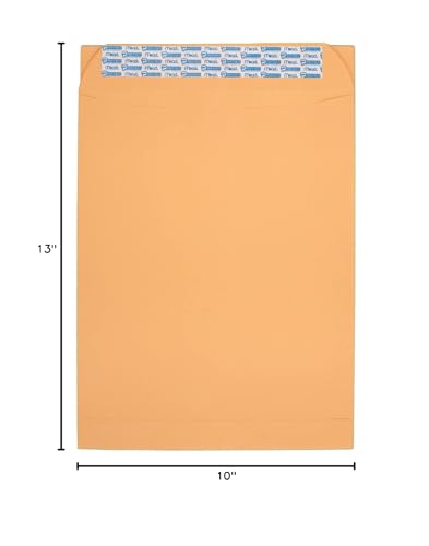 10 x 13 Inch Seal-It Envelopes, Pack of 20