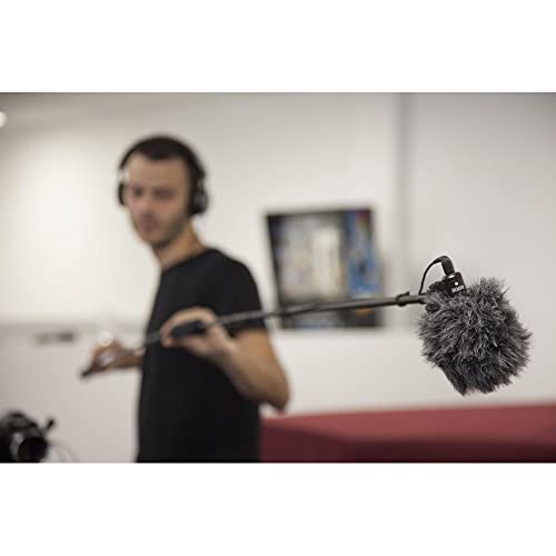Rode VideoMicro Compact On-Camera Microphone with Rycote Lyre Shock Mount