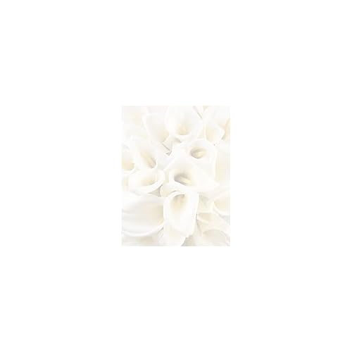 White Calla Lily Letterhead, 80 Sheets, 8.5x11