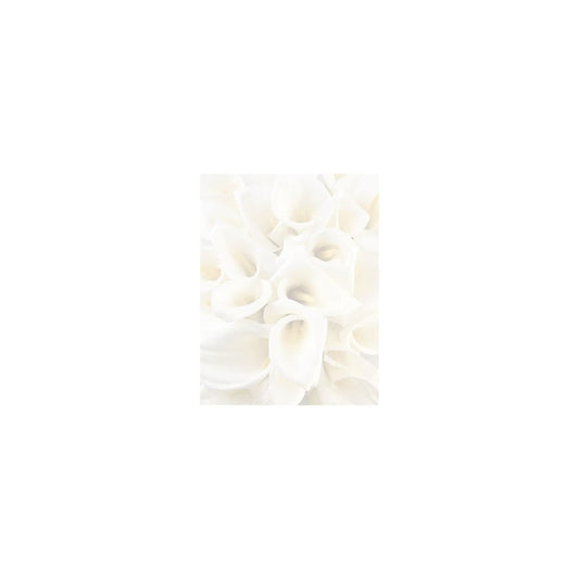 White Calla Lily Letterhead, 80 Sheets, 8.5x11