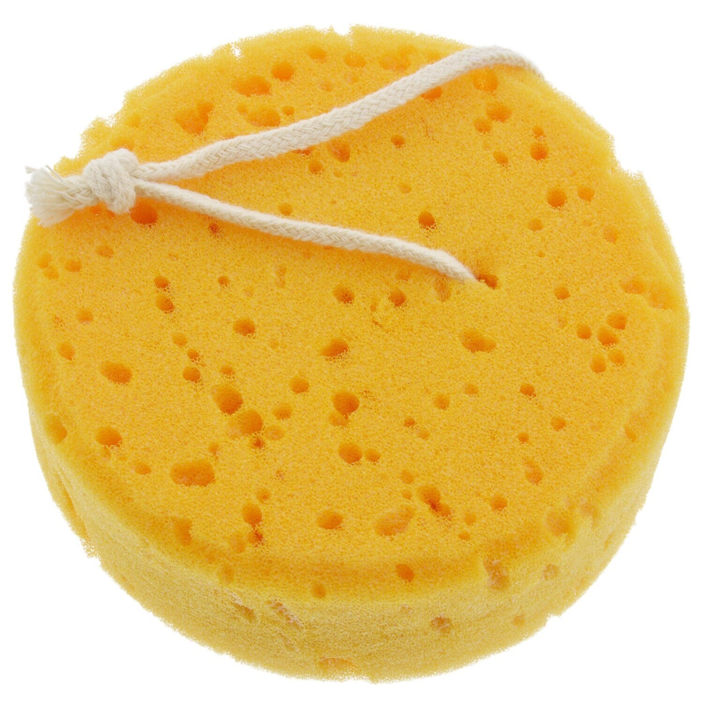 April Bath & Shower Natural Bath Sponges (Pack of 24)