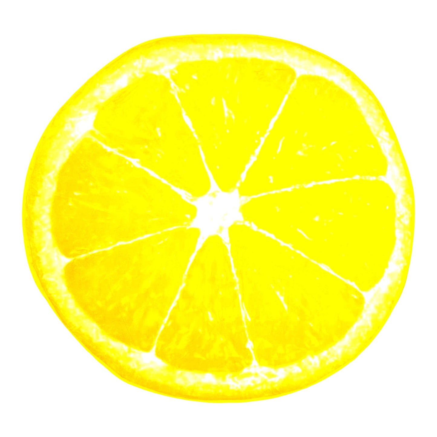 Sunny Comfort Lemon Slice Fleece Throw Blanket - 60 Inch Cozy Round Design