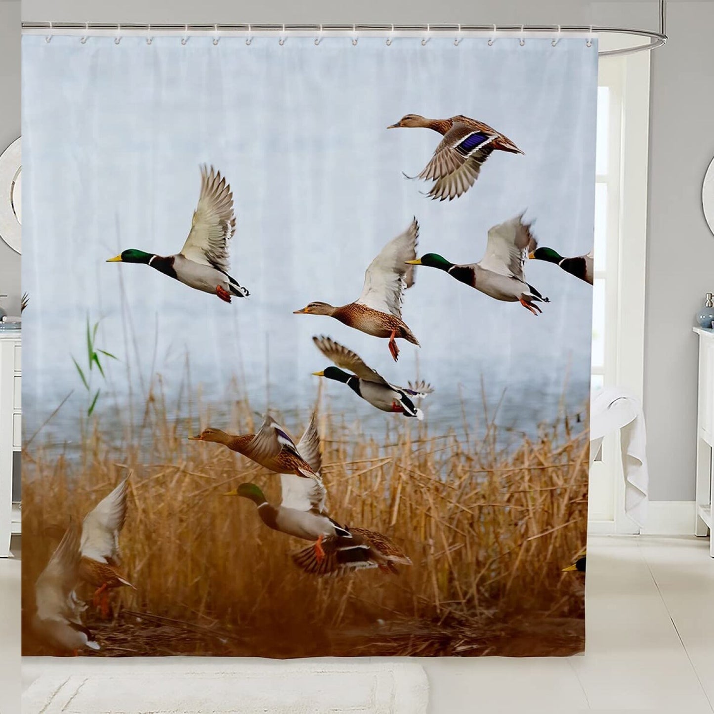 Mallard Duck Shower Curtain 72x72 inches
