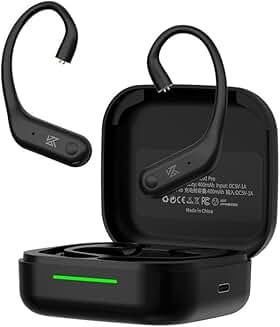Wireless Bluetooth Earhook with Charging Case