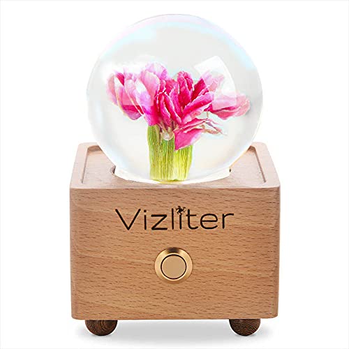 Bluetooth Speakers Crystal Ball LED Lighting Premium Preserved Fresh Flower with Wood Base Never Withered Eternal Night Light (Pink Carnation)
