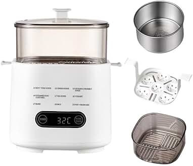 Multi-Functional Egg Cooker with Touch Panel