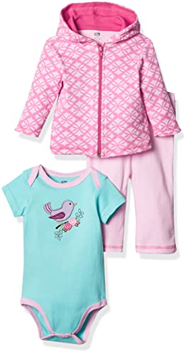 Unisex  and Toddler Cotton Hoodie, Bodysuit or Tee Top and Pant Set Bird, 0-3 Months