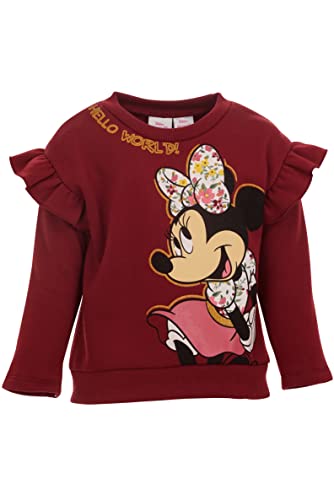 Minnie Mouse Baby Girls Fleece Pullover Sweatshirt Legging Set Maroon 18 Months