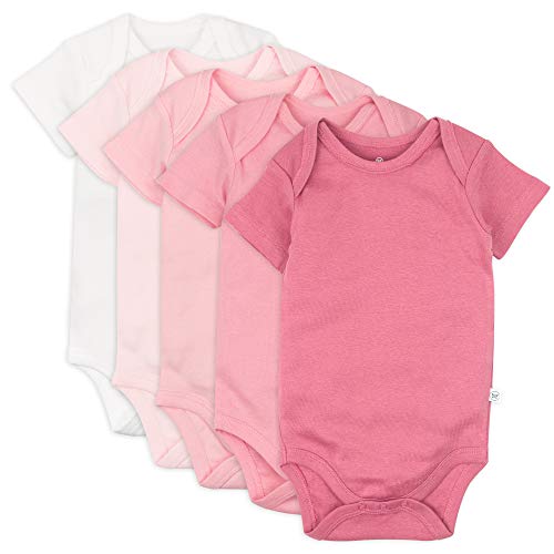 unisex baby  Cotton Short Sleeve Bodysuits Multipack and Toddler T Shirt Set, 5 Pack Pink Ombre, 3-6 Months US