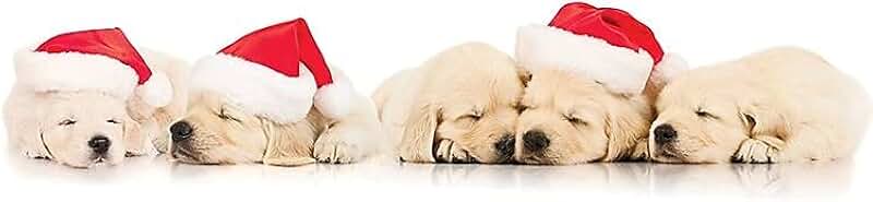 Cute Pink Pencil Case for Girls with Large Capacity