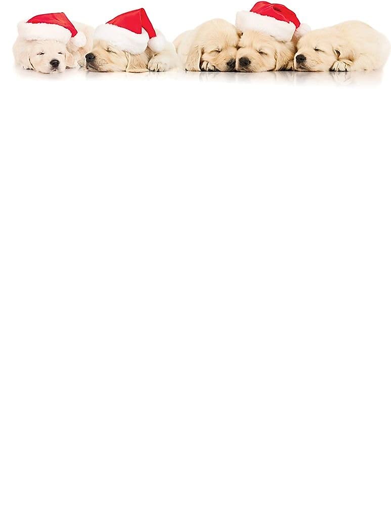 Puppies Letterhead, 80 sheets, 11 x 8.5 inches