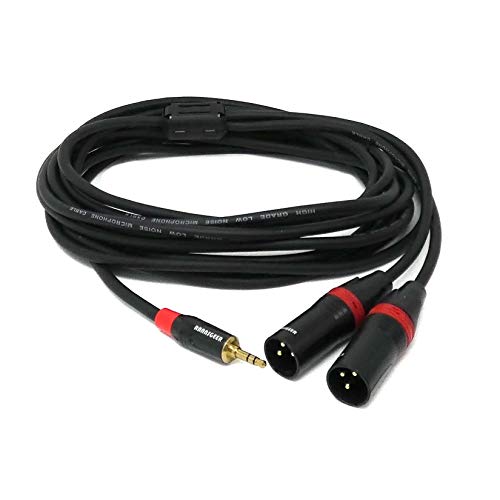 3.5mm TRS Stereo to Dual XLR Male Y-Splitter 12 Feet Cable (12 Ft)