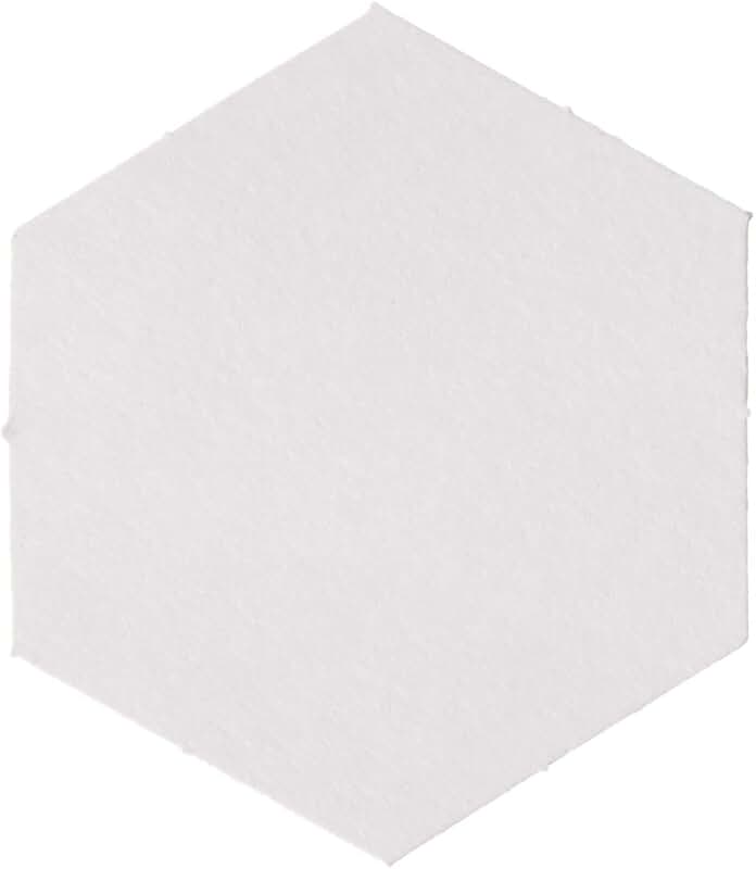 750 Piece 3/4 Inch Hexagon Paper Pieces