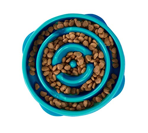 Fun Feeder Slo Bowl for Dogs, Medium/Mini, Turquoise