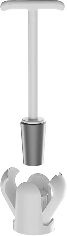 Wall-Mounted Toilet Plunger with Holder