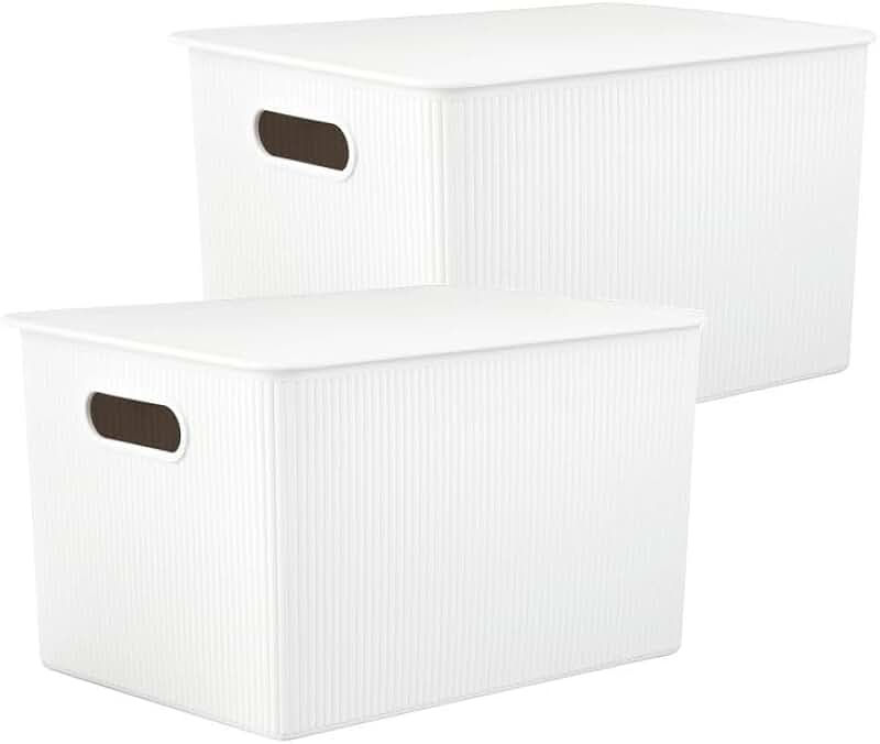 Large White Plastic Storage Bins with Lids, 2 Pack