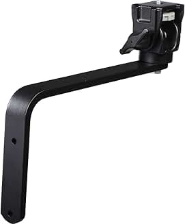 Wall Mount Camera Support with Swivel Tilt Head