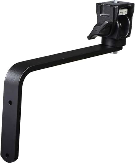 Wall Mount Camera Support with Swivel Tilt Head