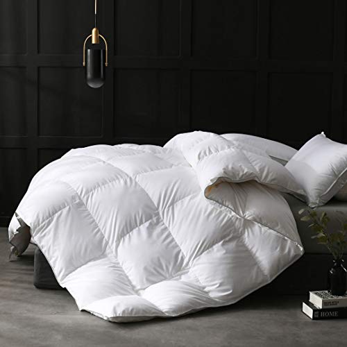 Full/Queen Size Goose Feathers Down Comforter Duvet Insert  Ultra-Soft All Season Down Comforter Hotel Comforter, 46 Oz Fluffy Medium Warmth 90x90, White)