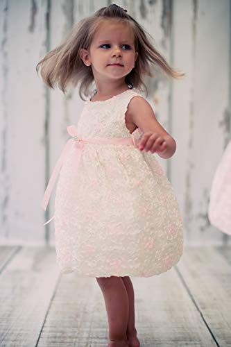 Baby Girls   Embroidered Mesh Flower Girl Dress Ivory XS
