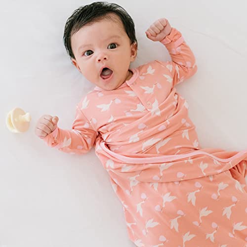 Welcome Home Footie with Zipper, Boy or Girl One-Piece, Super Soft Baby Clothes (Spring Sky Stork - 18-24 Months)