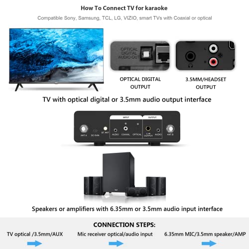 Bluetooth Karaoke Machine for Adults Kids with Wireless Microphones System,RMS 200W to 650W Peak Power,LED DJ Lights, Dual 8" Subwoofer, Party Speaker with Aux/1/4''Mic/TF Card/USB/FM/Remote