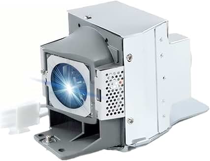 Replacement Lamp with Housing for Projectors