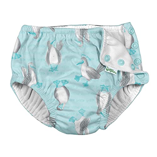 i Play Boys Reusable Absorbent Baby Swim Diapers Light Aqua Blue-Footed Boobies 6 Months