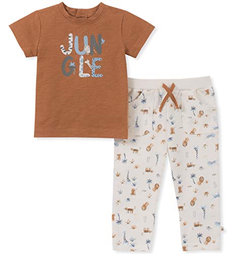Baby Boys 2 Pieces Pants Set, Brown, 0-3 Months