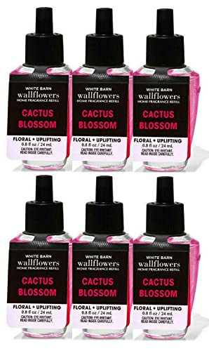 6 Pack, Cactus Blossom Wallflowers  0.8 fl oz  24 ml) Fragrance Refill