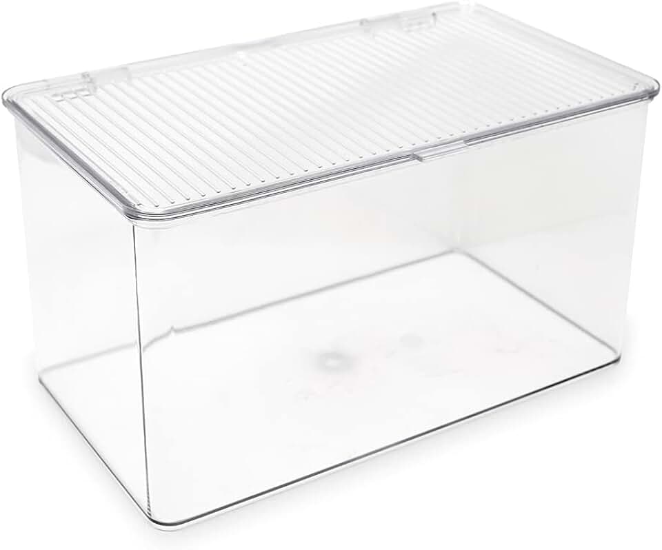 Large Stackable Clear Storage Bin with Lid