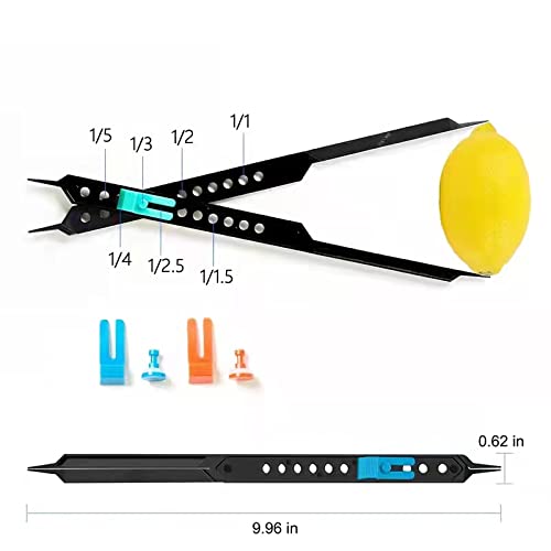 10 Inch Scale Divider for Drawing and Art Projects