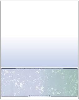 250 Sheets of Custom Blue/Green Prismatic Check Paper